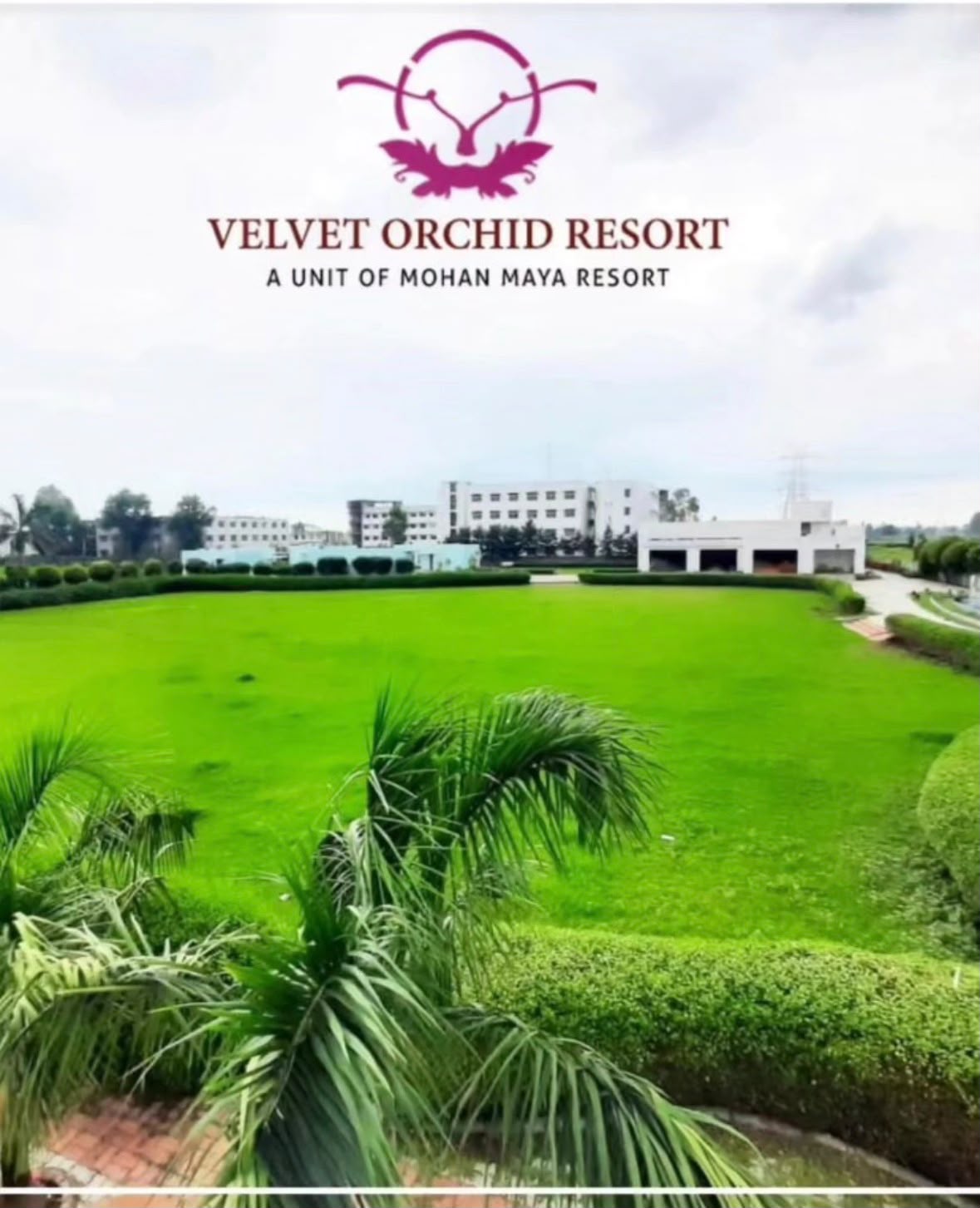 Velvet Orchid Resort venue