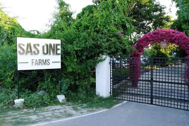 SAS One Farms venue