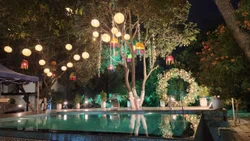 Lawn 1